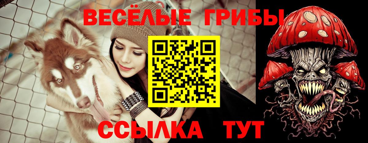 Трёхгорный  Псилоцибиновые грибы ЛСД  Вход с VPN 